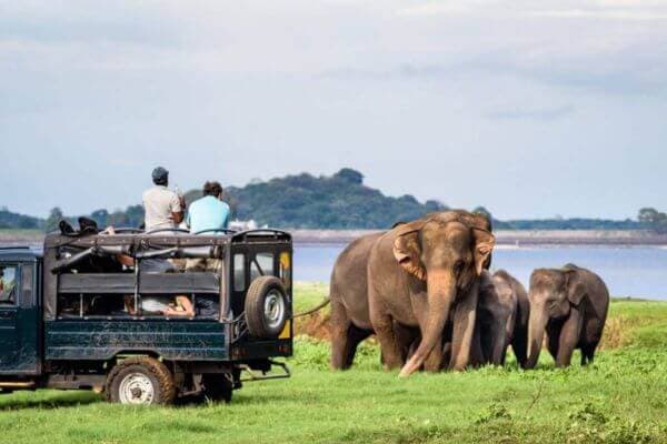 7 Days Sri Lanka holiday Packages